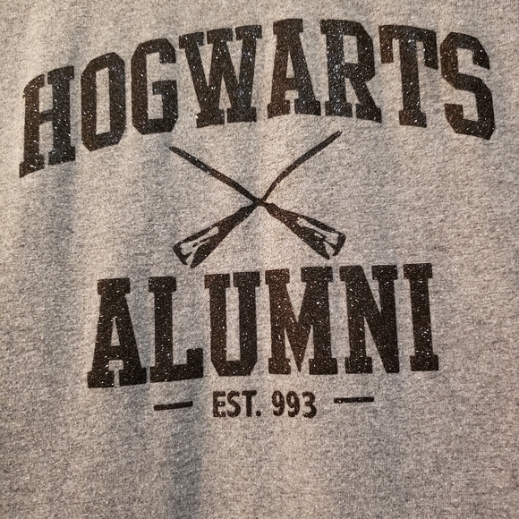 Harry Potter Hogwarts Alumni short sleeve gray t-shirt - Picture 4 of 4